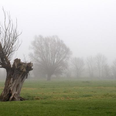 Brouillard 5 parc 20x30cm