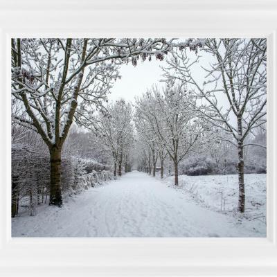 Parc des 6 bonniers marc zommer photographies